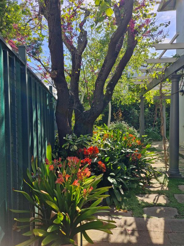 4 Bedroom Property for Sale in Rondebosch Western Cape